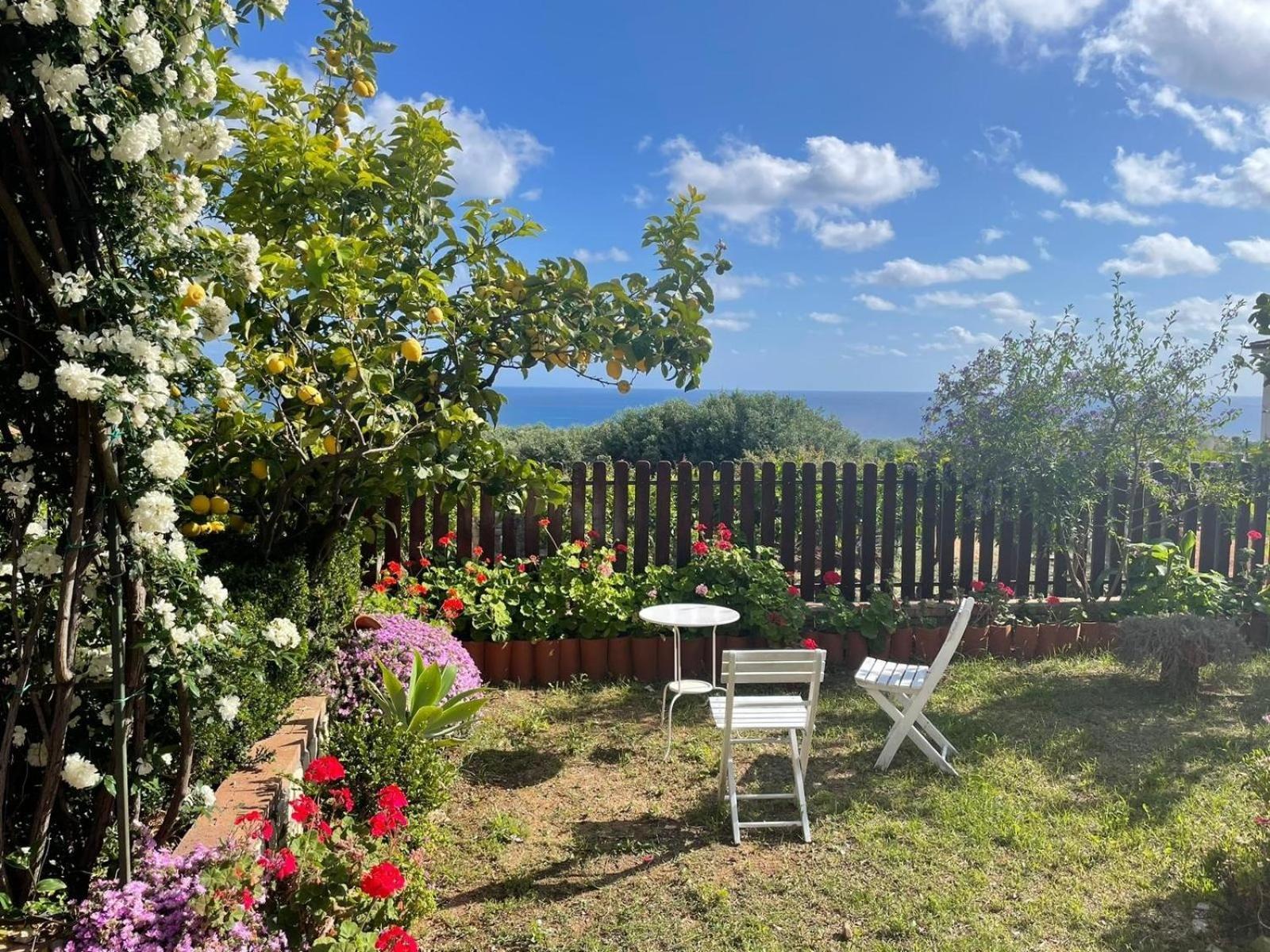 Lavigna